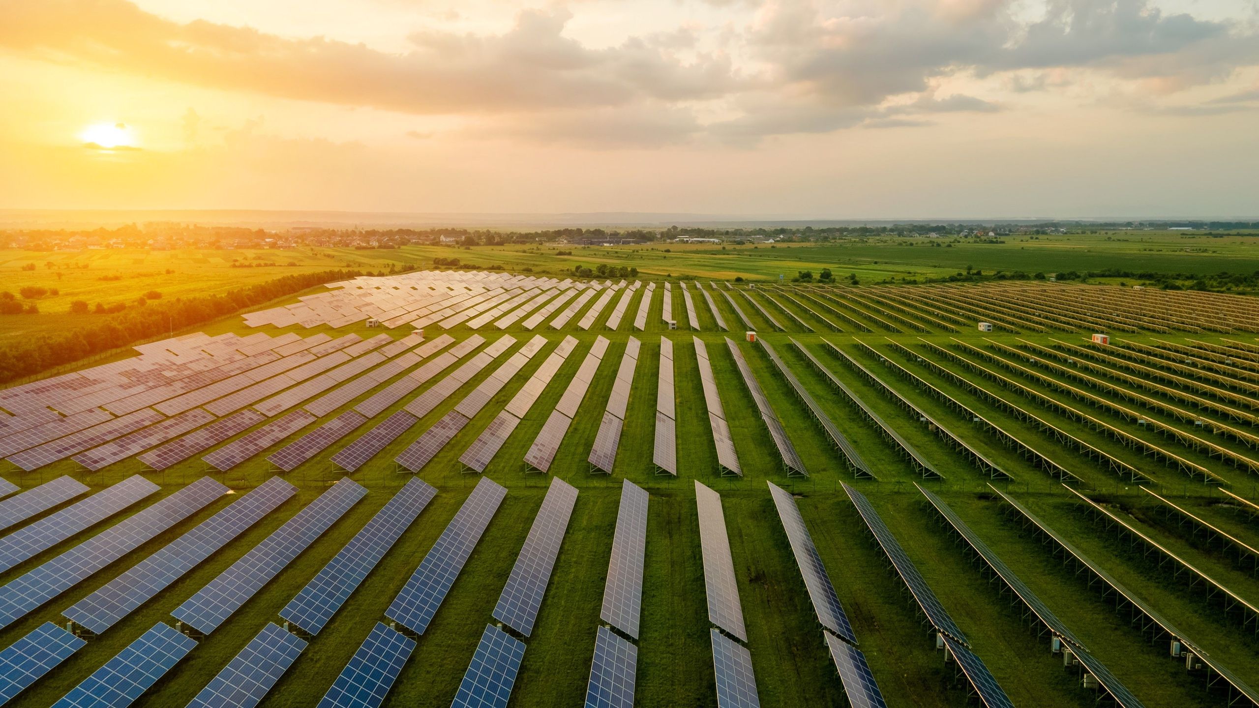 Selon une étude, planter des cultures dans des champs de panneaux solaires est plus efficace, protège les plantes et aide à garder les travailleurs au frais