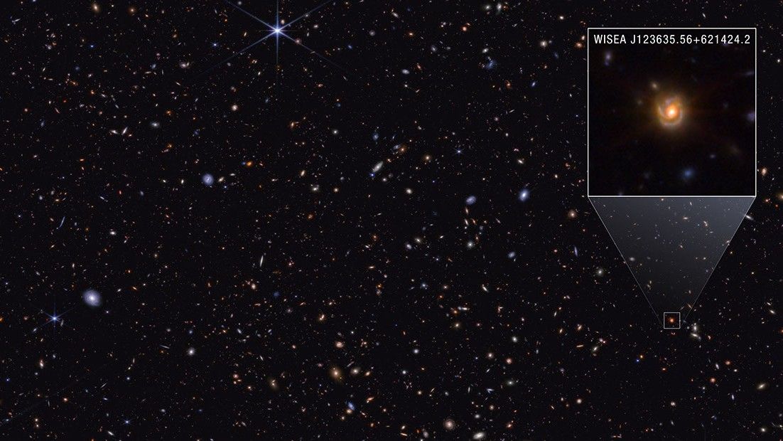 Webb’s image of spiral galaxy Saguaro, revealing a bright red core linked to mysterious Little Red Dots.