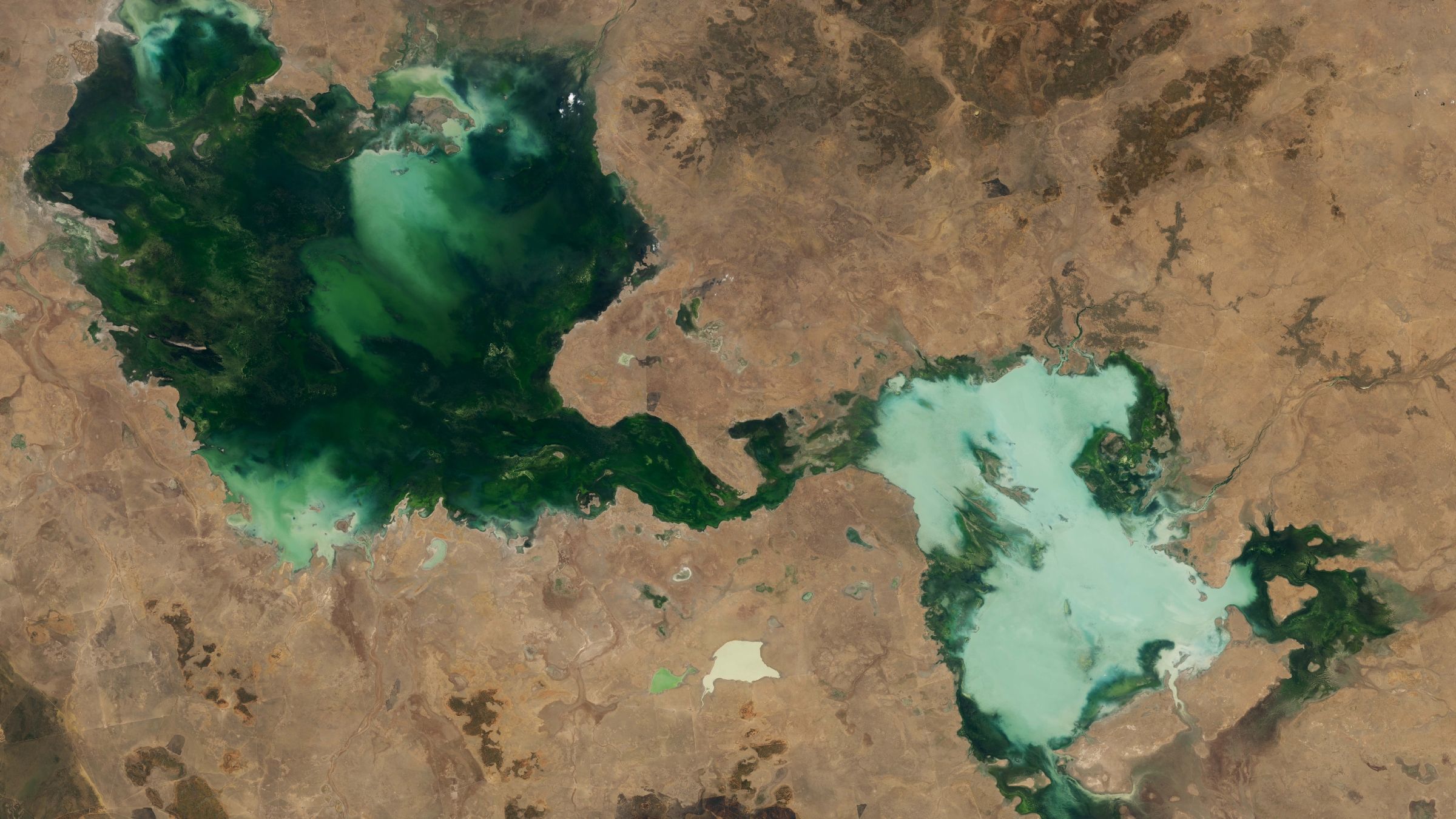 Des lacs d'un vert fantomatique fusionnent dans l'arrière-pays australien après 2 ans de fortes pluies — La Terre vue de l'espace