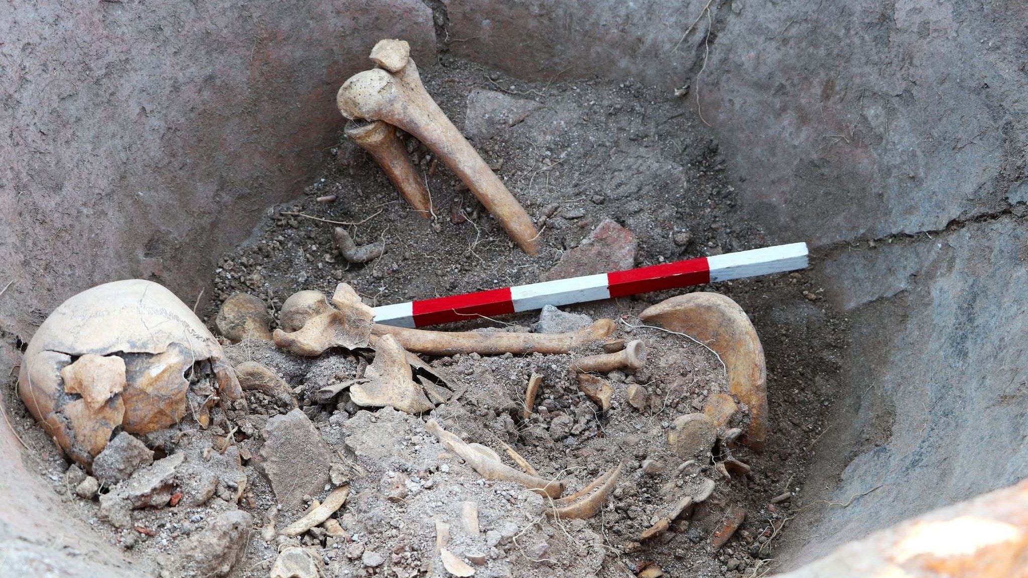 Un squelette vieux de 1 600 ans découvert dans une jarre géante en Bulgarie pourrait appartenir à Roman qui s'y cachait pour échapper à l'attaque ennemie