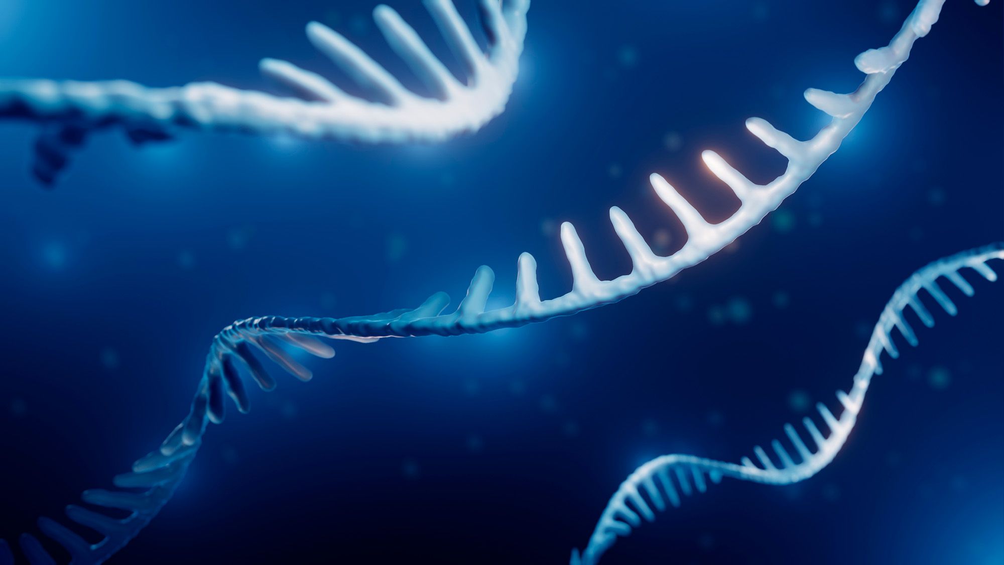 Le vieillissement n’est pas le même pour tout le monde au niveau moléculaire : il est « individualisé et dépendant du contexte »