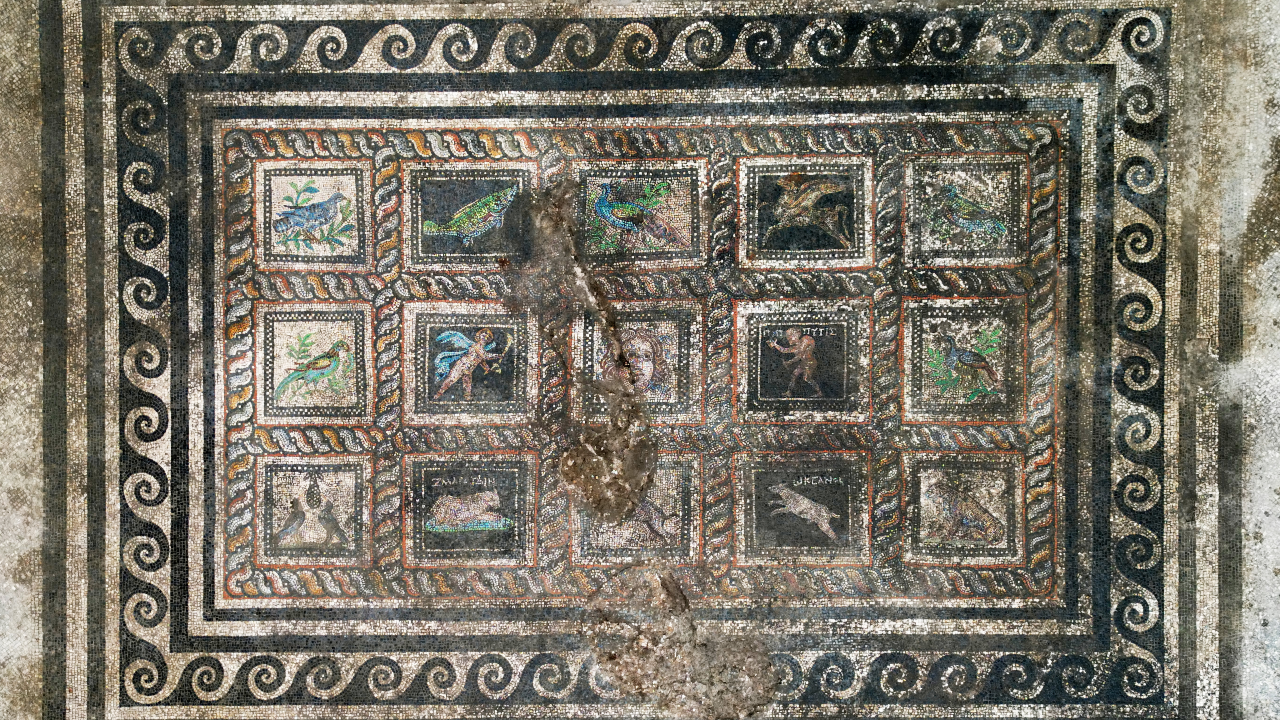 image d'ensemble d'une mosaïque romaine multicolore à 15 panneaux