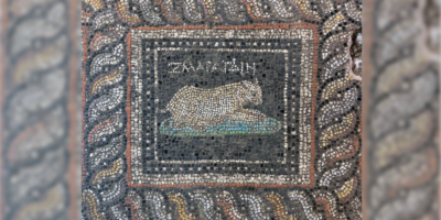 Une superbe mosaïque de l&rsquo;époque romaine découverte en Turquie représente « Emeraude » le chat et « Océan » le chien