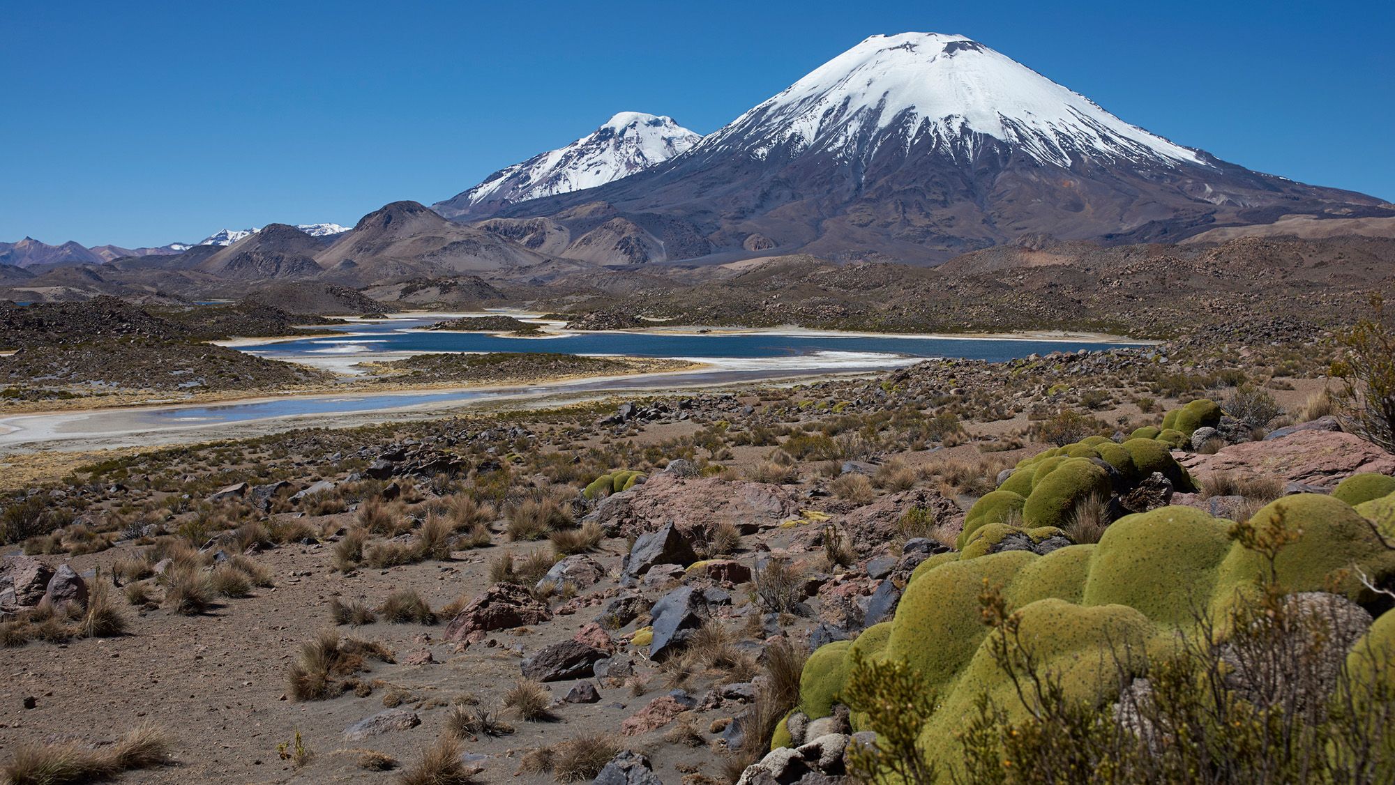 « Pompéi » d'Amérique du Sud : une éruption volcanique il y a 22 millions d'années a préservé un instantané de la formation des Andes