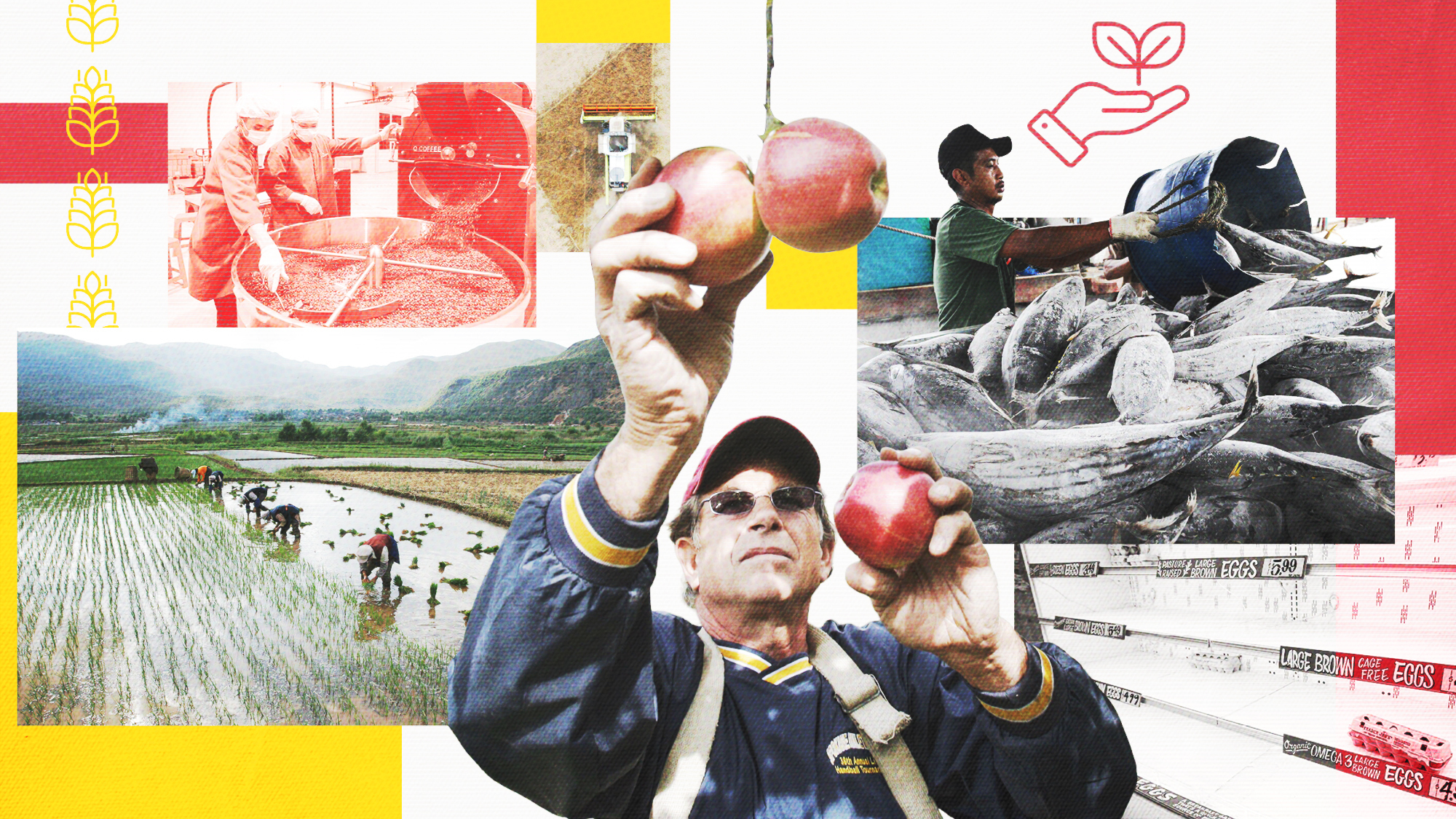 Un collage d’agriculture et de personnes détenant de la nourriture.