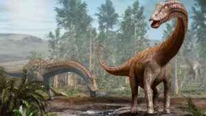 Des fossiles de l'emblématique dinosaure à long cou Diplodocus découverts en Europe pour la première fois – et il pourrait y avoir voyagé via un pont terrestre