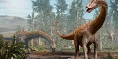 Des fossiles de l’emblématique dinosaure à long cou Diplodocus découverts en Europe pour la première fois – et il pourrait y avoir voyagé via un pont terrestre
