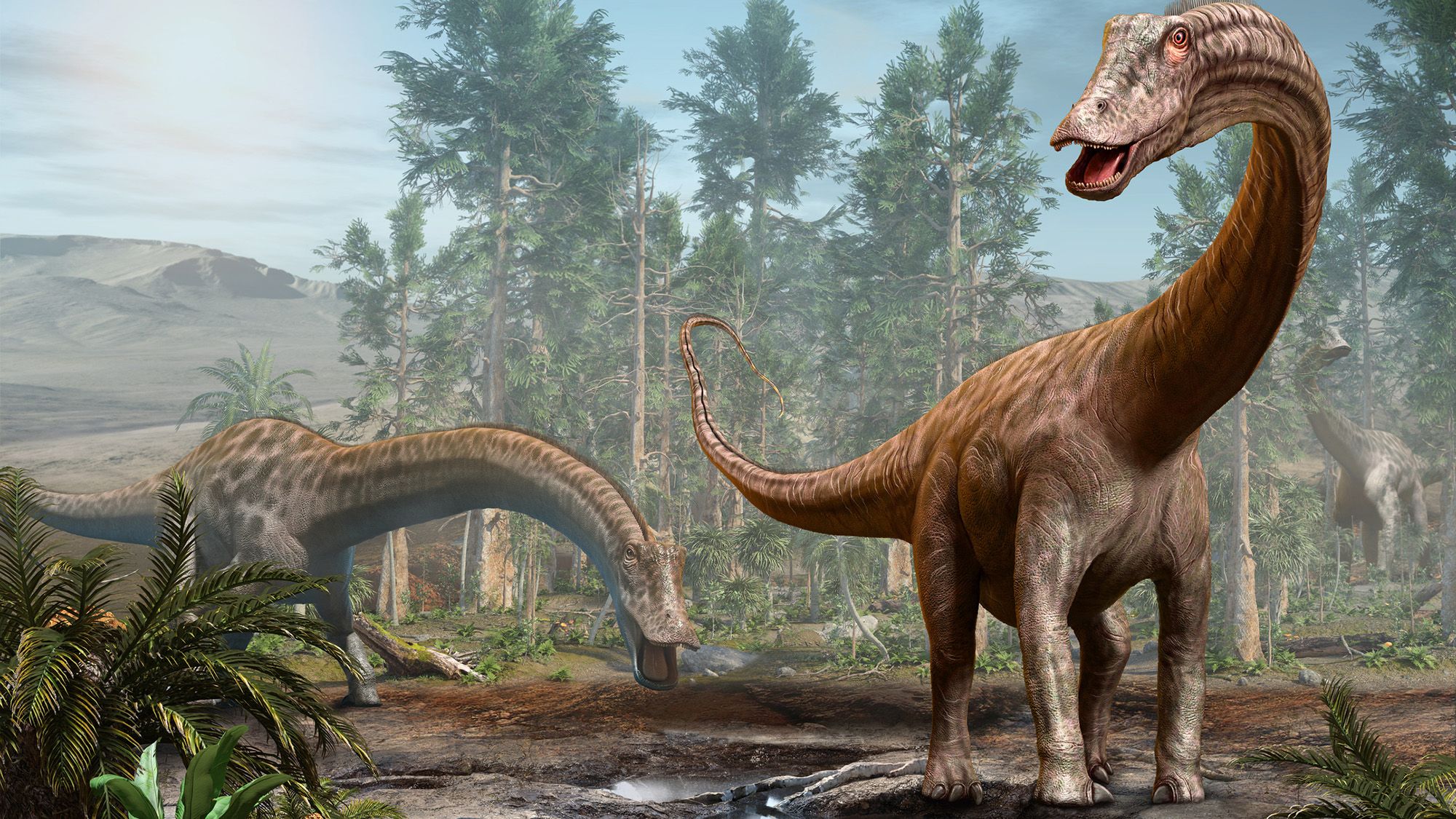 Des fossiles de l'emblématique dinosaure à long cou Diplodocus découverts en Europe pour la première fois – et il pourrait y avoir voyagé via un pont terrestre