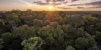 « À un moment donné, nous devrons réagir » : comment El Niño, le changement climatique et la criminalité poussent la forêt amazonienne au bord du gouffre