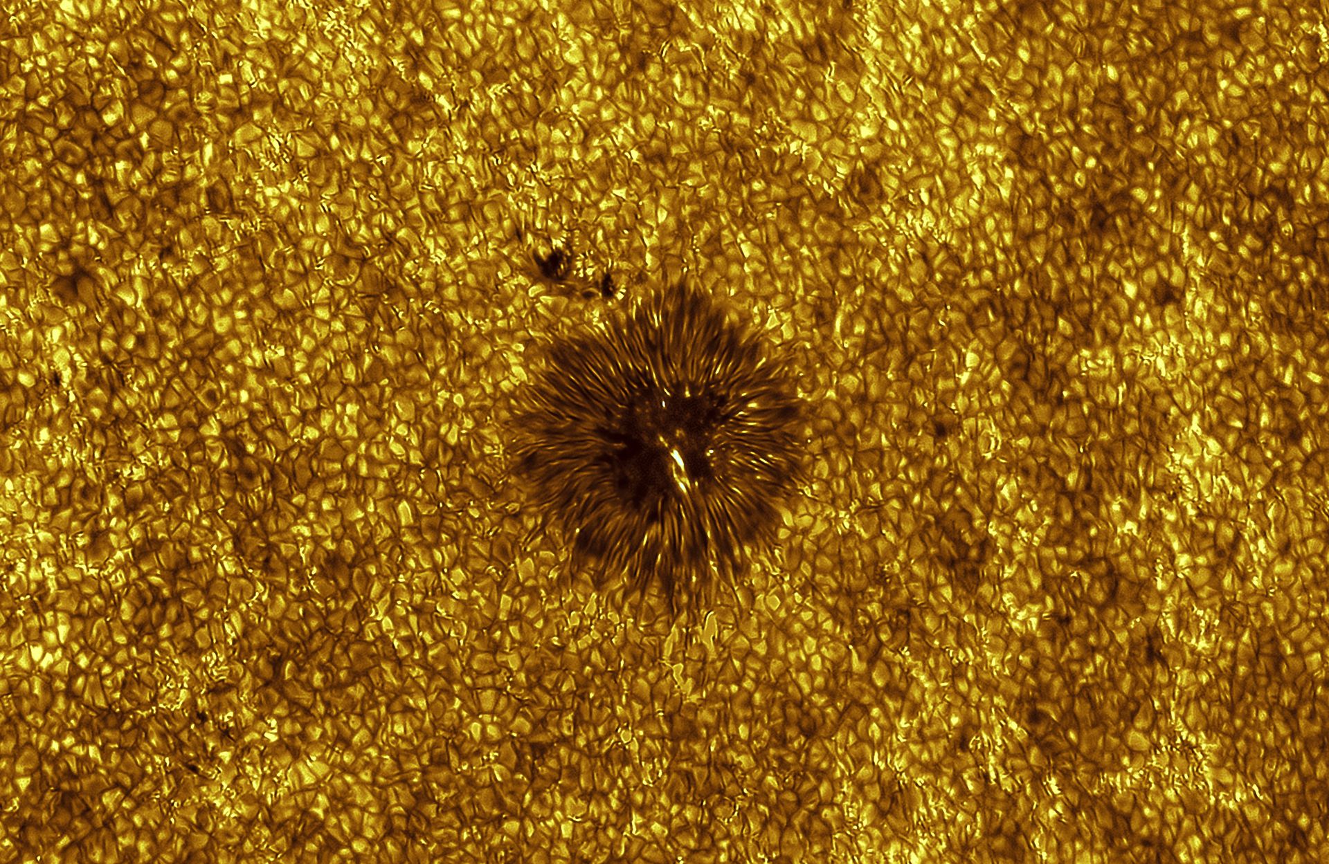 Un gros plan d'une tache solaire, avec un fond doré