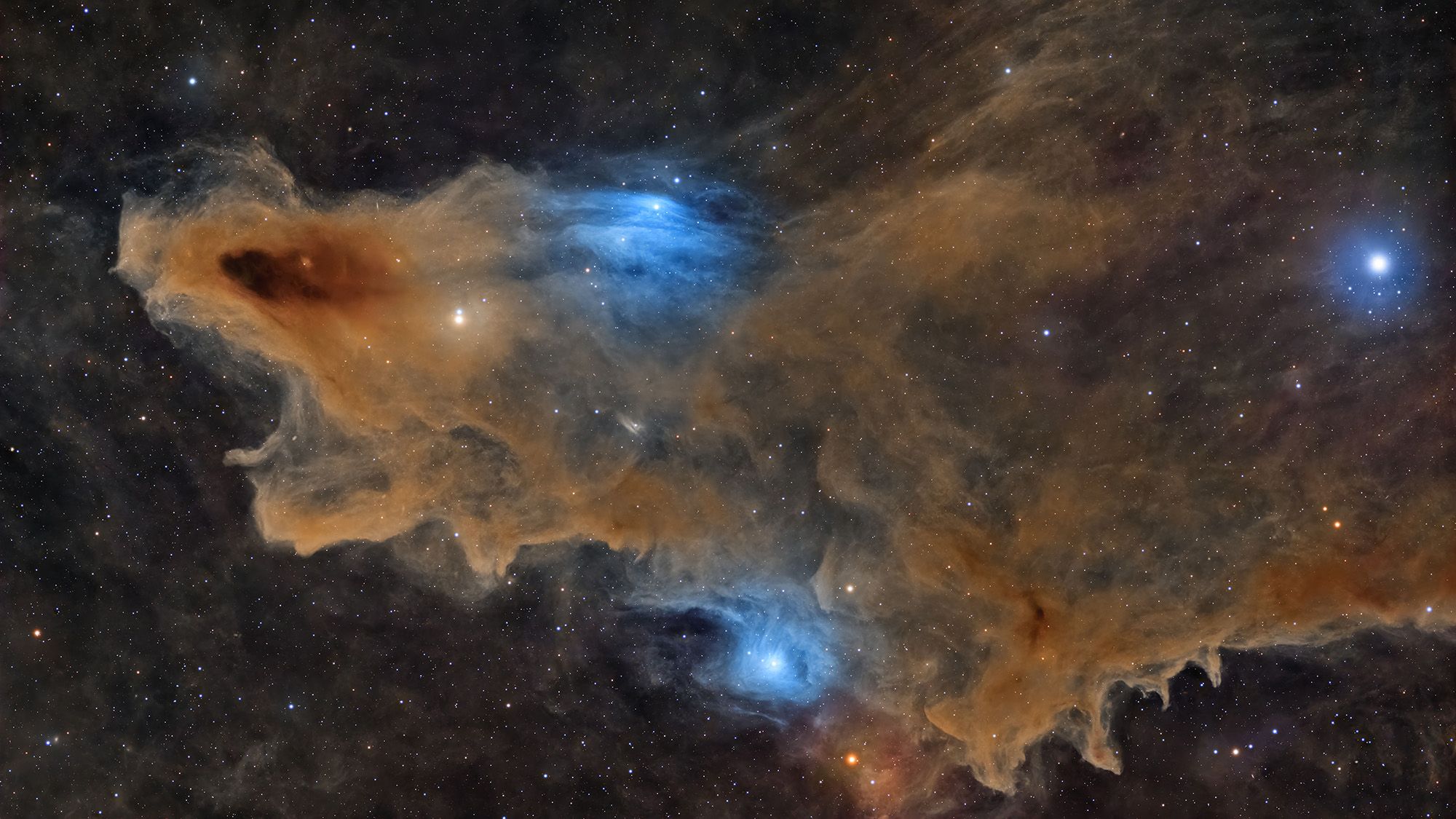 Un requin de l'espace, des aurores « royales » et une « perle vénusienne » : découvrez les gagnants du concours ZWO Astronomy Photographer of the Year 2026