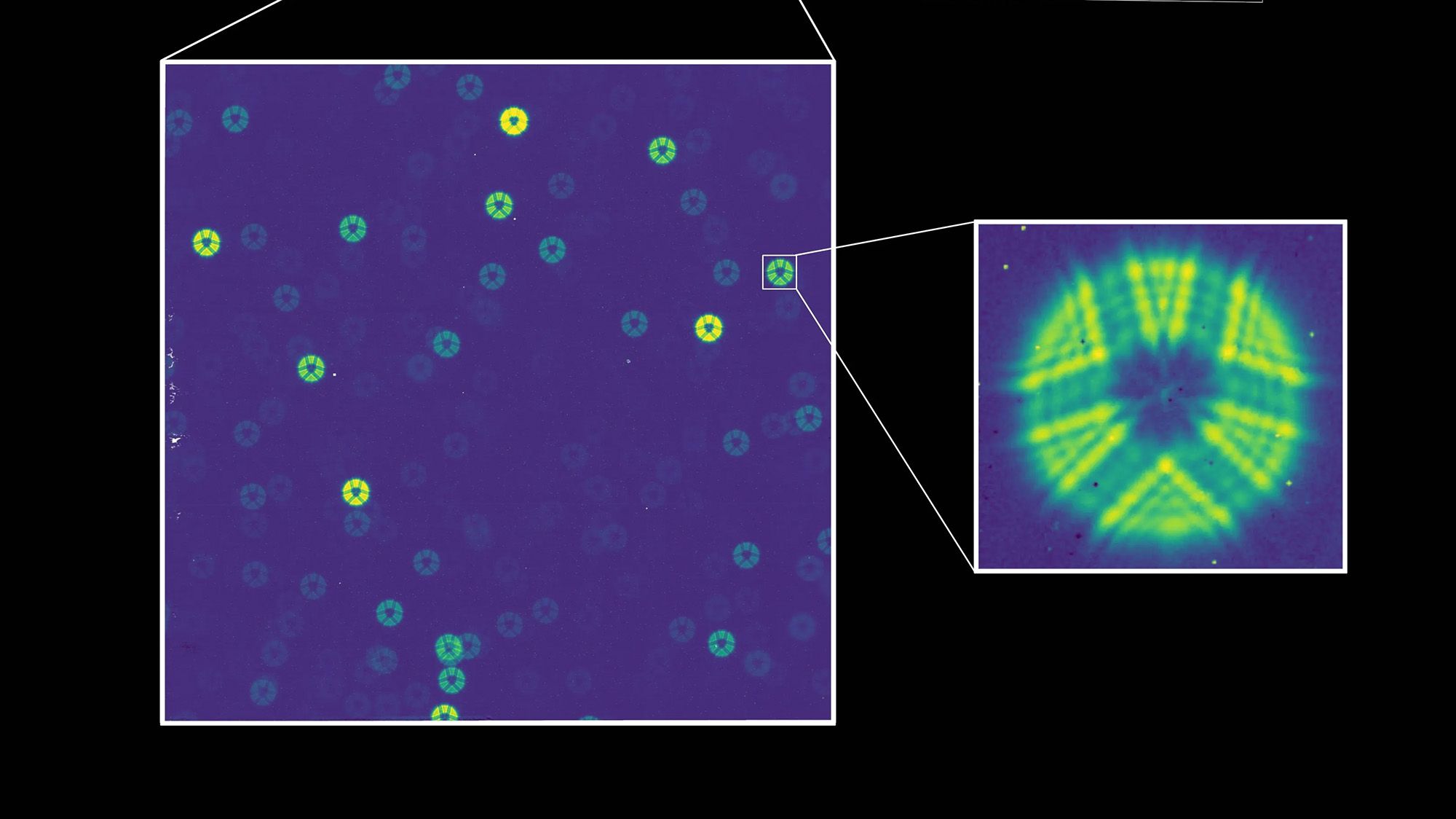 "Nous sommes sur la bonne voie vers une science révolutionnaire" : les étoiles deviennent vert fluo sur la première image test du télescope romain de la NASA — Photo spatiale de la semaine