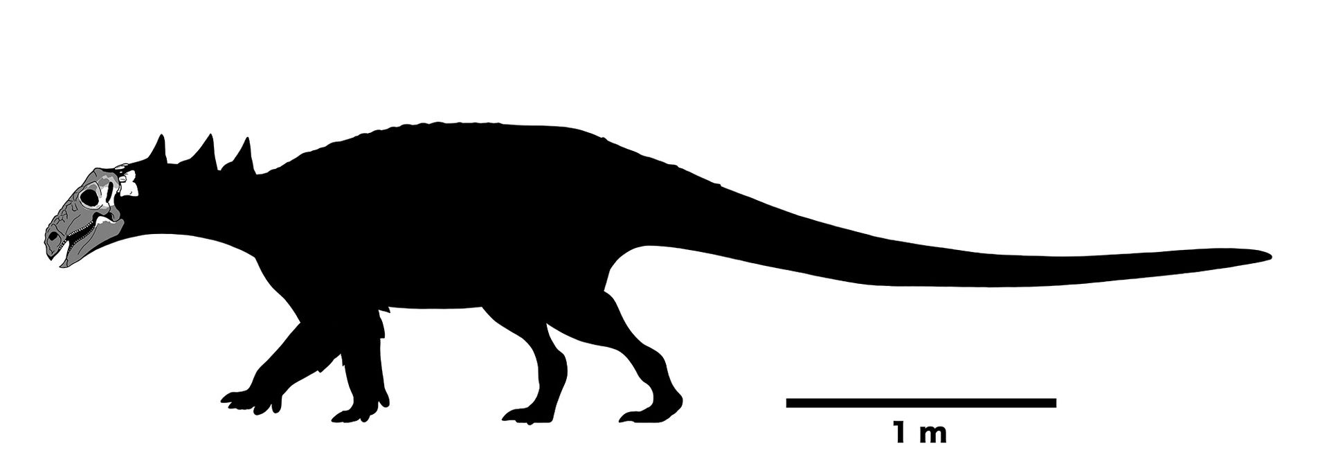 Un dessin en noir et blanc d'un dinosaure à quatre pattes sur fond blanc