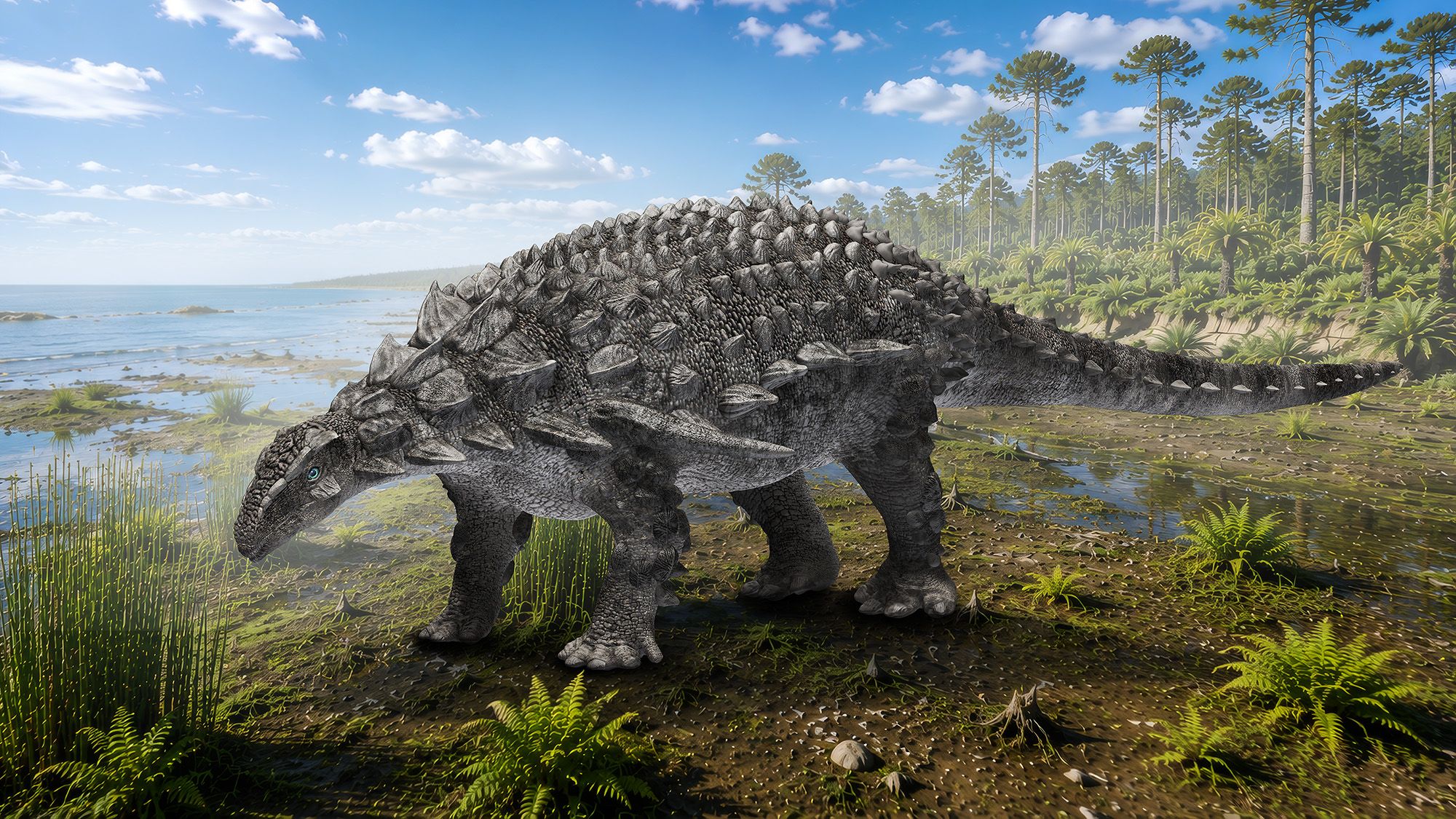 Un rare dinosaure blindé découvert au Japon pourrait avoir des ancêtres qui ont migré via un pont terrestre il y a 100 millions d'années