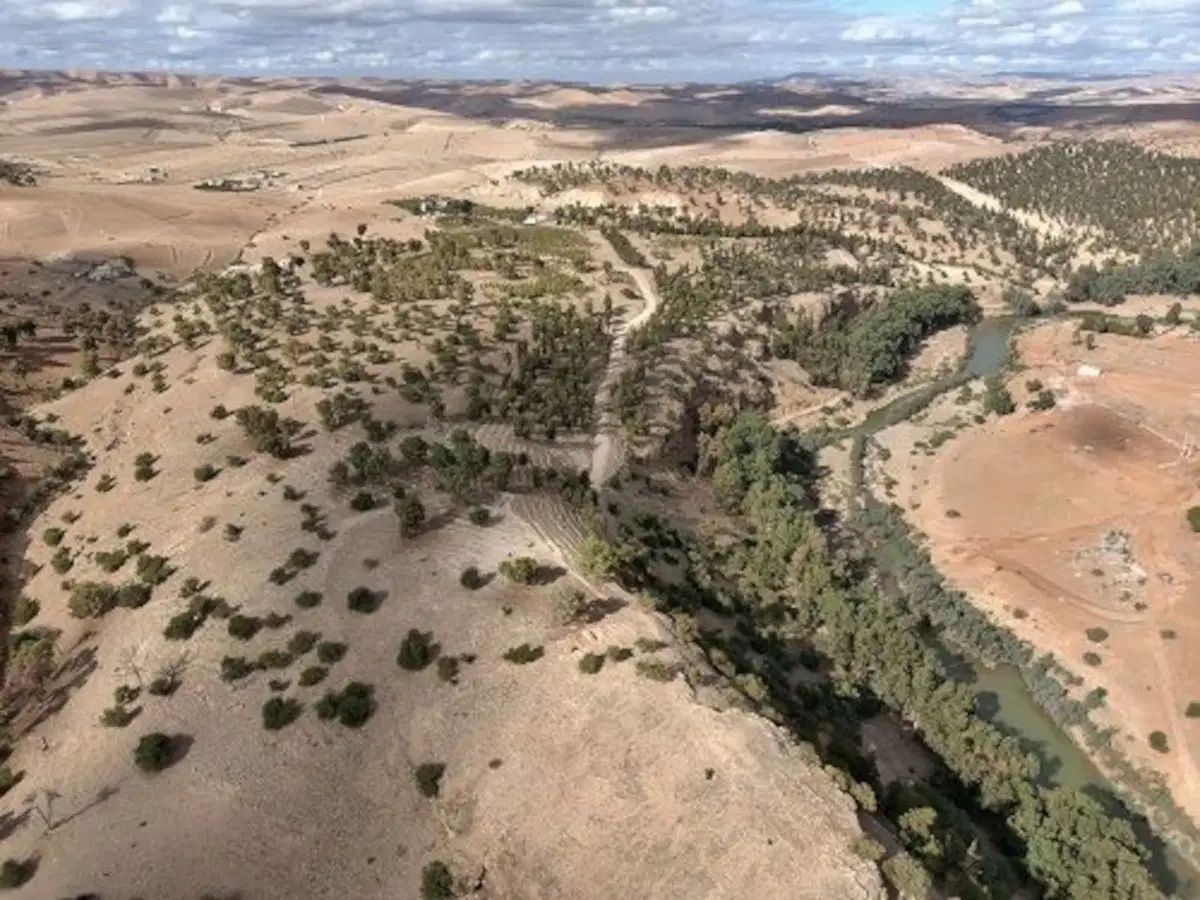 Vues aériennes de deux collines avec des arbres.