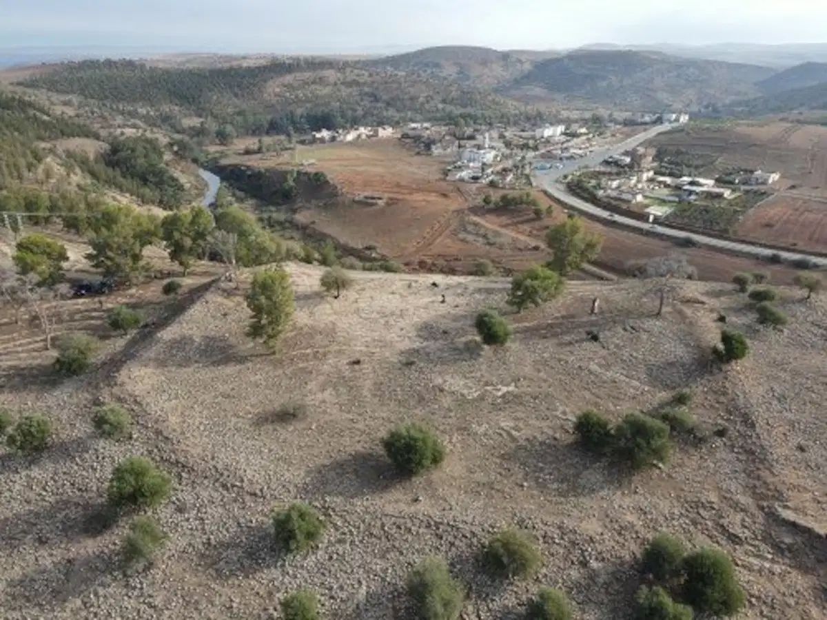 Vues aériennes de deux collines avec des arbres.