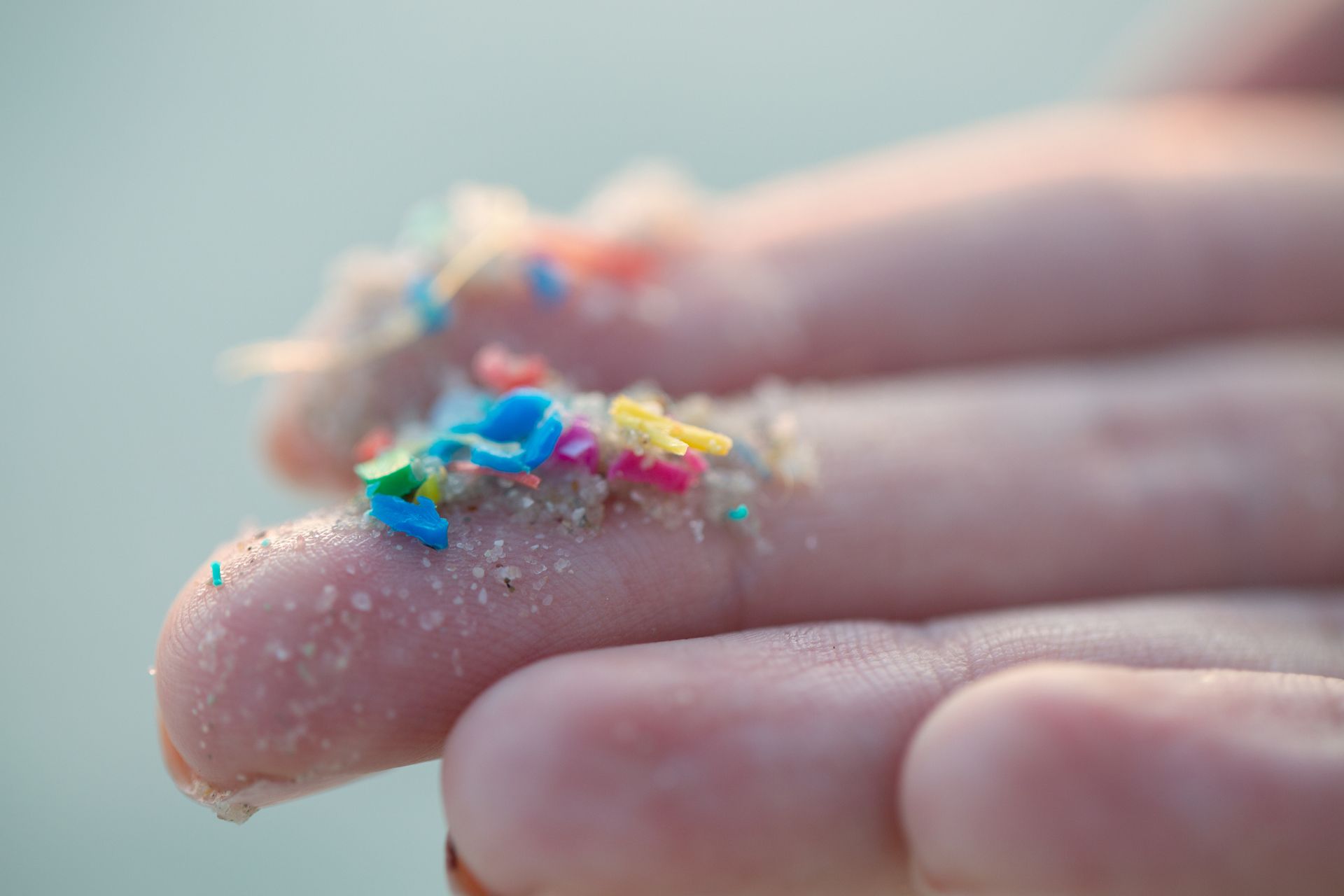 Une photographie de microplastiques dans la main.