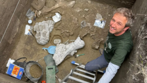 Des os de bête à longues défenses vieux de 13 000 ans découverts au Chili témoignent davantage de l'existence des premiers Américains.