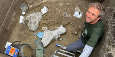 Des os de bête à longues défenses vieux de 13 000 ans découverts au Chili témoignent davantage de l&rsquo;existence des premiers Américains.