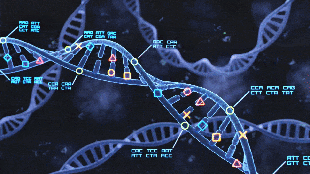 double hélice d'ADN en mouvement avec A, C, T, G clignotants indiquant des paires de bases
