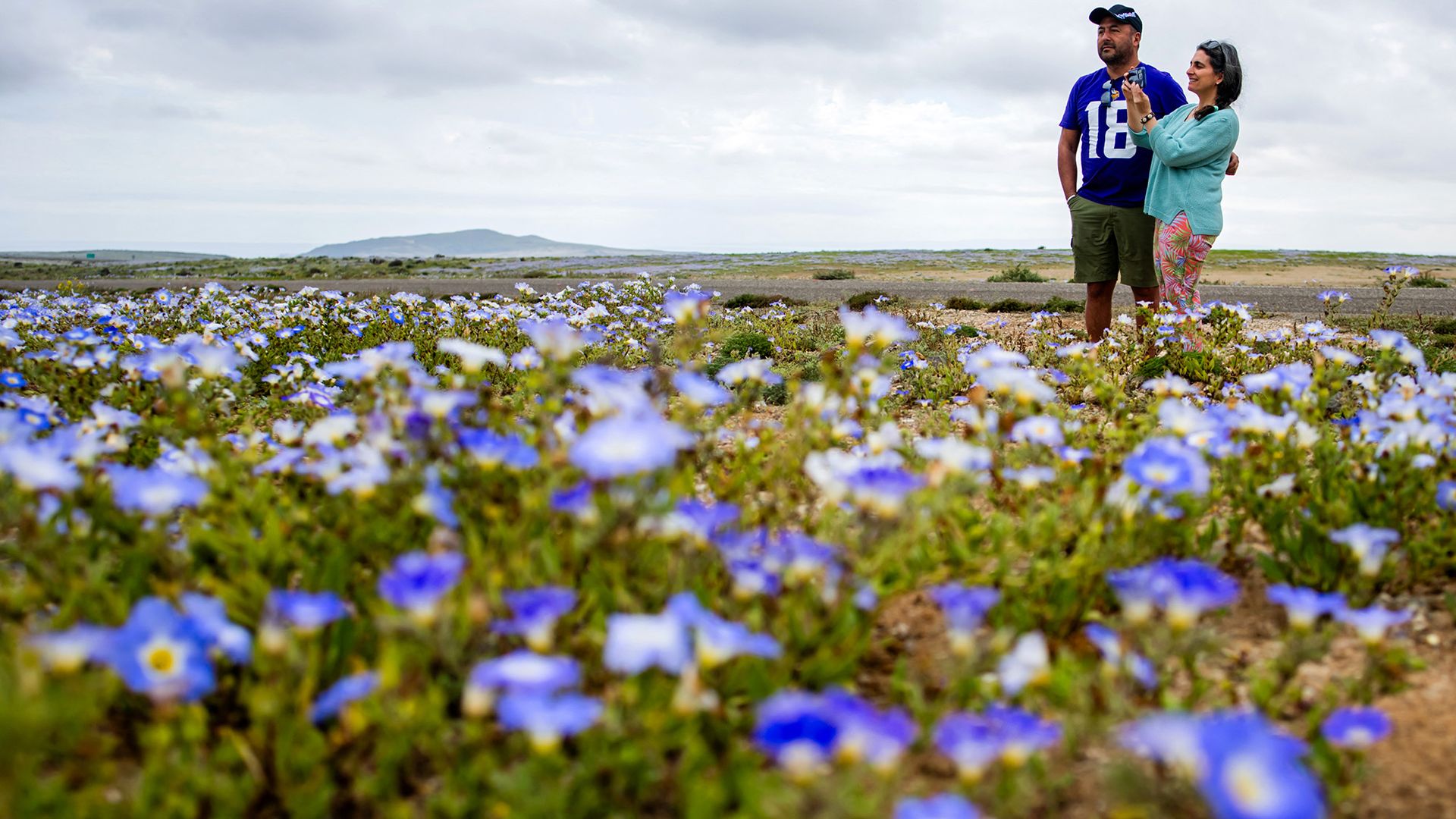 Deux personnes se tiennent debout dans un champ de fleurs violettes.