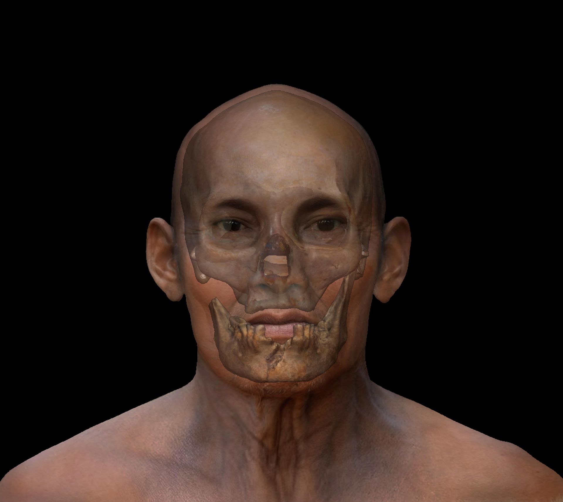Illustration d'un visage d'homme avec un crâne superposé sur le dessus.