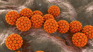 1 cas de cancer sur 8 est causé par des infections, ce qui souligne l'importance des vaccins, selon les experts