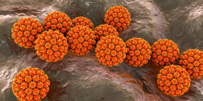 1 cas de cancer sur 8 est causé par des infections, ce qui souligne l&rsquo;importance des vaccins, selon les experts