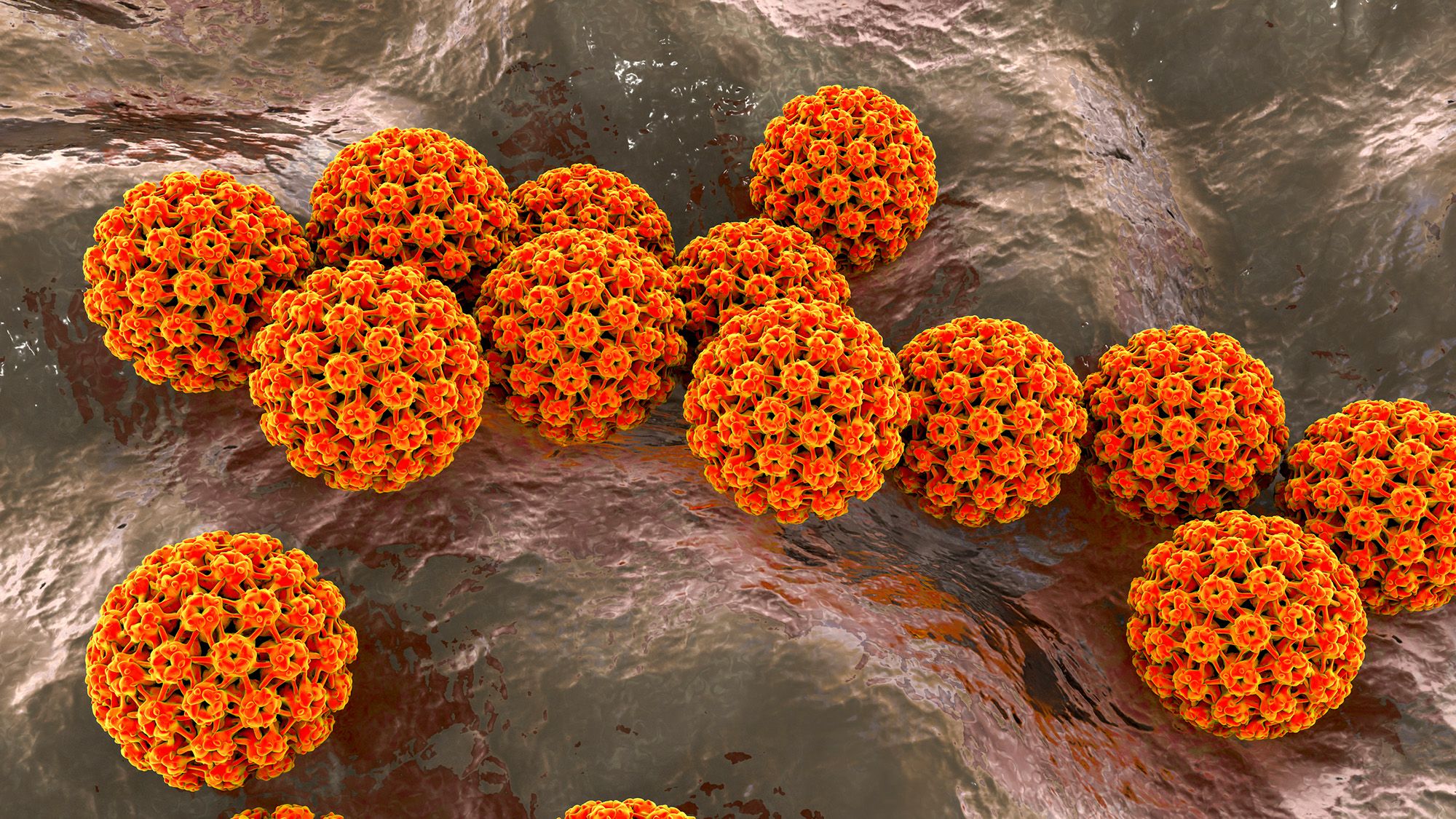1 cas de cancer sur 8 est causé par des infections, ce qui souligne l'importance des vaccins, selon les experts