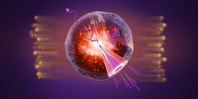 Une expérience de collisionneur de particules recrée la soupe primordiale du Big Bang – et trouve une tournure inattendue