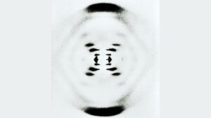 A black and white image with a series of dark dots.