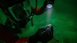 Une bague en bronze avec une gravure du phare d'Alexandrie découverte dans un palais sur une île submergée en Égypte