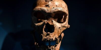 « Les reportages ont modifié la science pour répondre aux angoisses contemporaines » : comment l&rsquo;extinction de Néandertal est une projection de nos propres peurs modernes