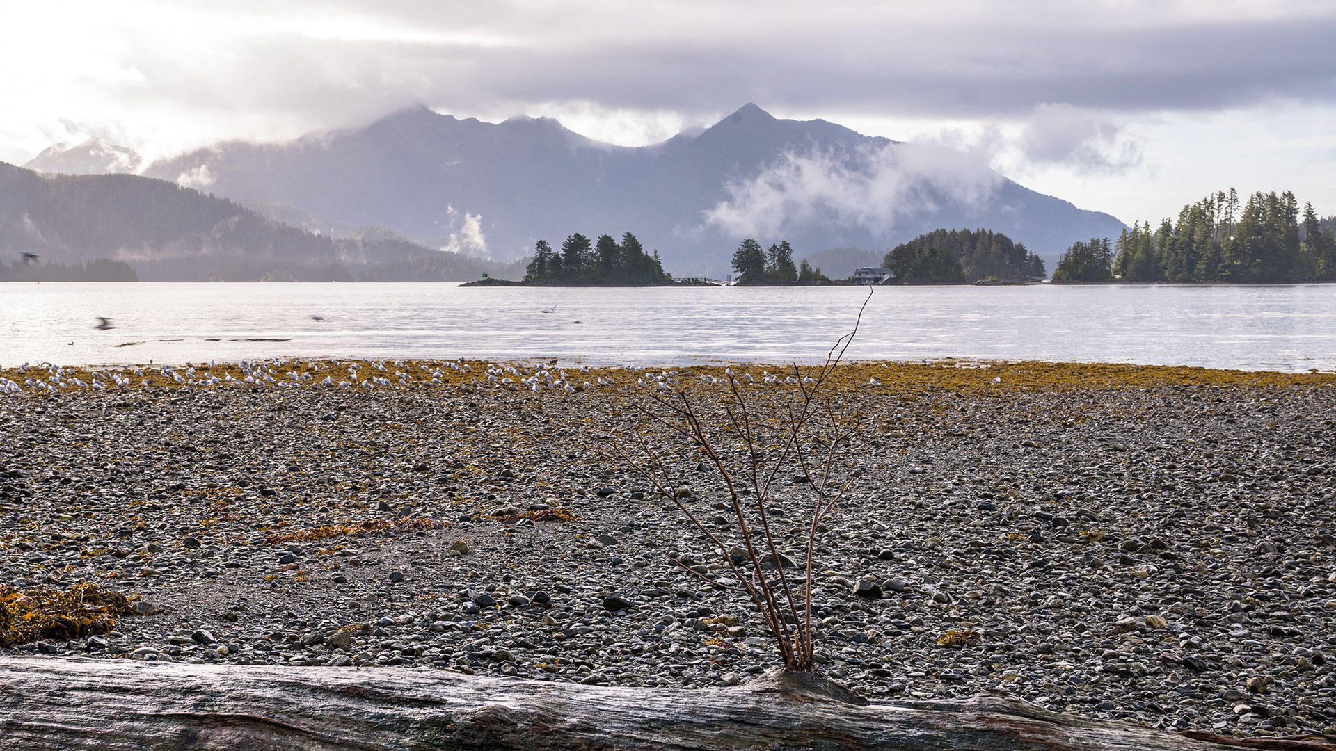 Vue d'un lac avec une rive de galets au premier plan.
