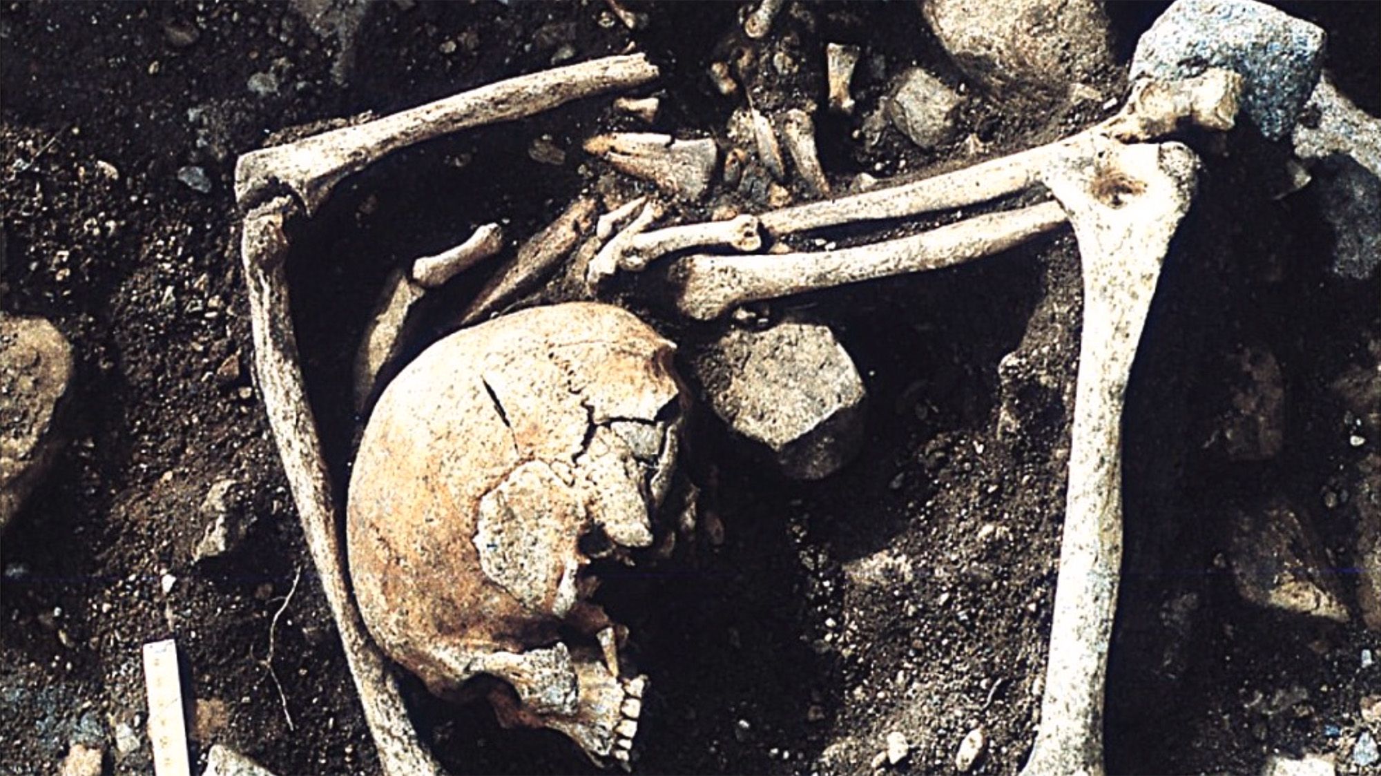 En Lettonie, une sépulture vieille de 1 200 ans abrite des personnes décédées des suites de blessures « violentes », peut-être suite à un raid viking