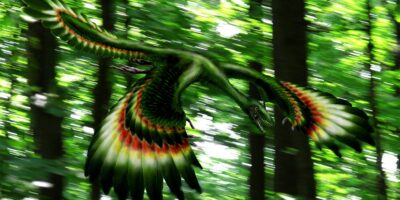 Une maladie auto-immune rare chez une adolescente lui a fait halluciner un dinosaure vert volant — Dilemme diagnostique