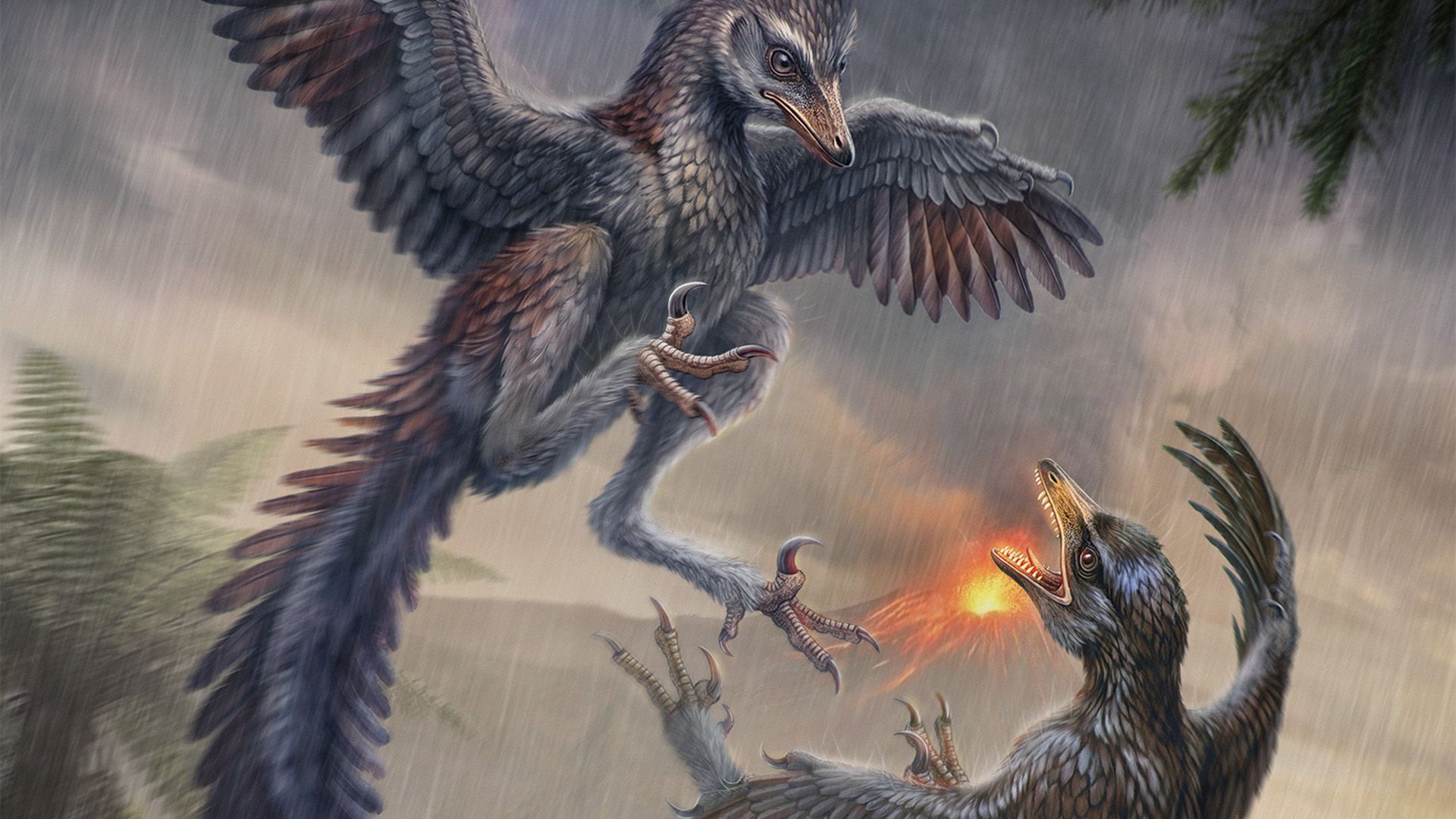 L'oiseau du Jurassique incapable de voler était comme un faisan carnivore avec des griffes meurtrières