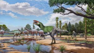 Un fossile de dinosaure « guerrière invaincue » avec de longues griffes découvert dans le tiroir d'un musée britannique après 100 ans