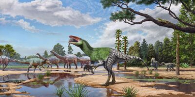 Un fossile de dinosaure « guerrière invaincue » avec de longues griffes découvert dans le tiroir d&rsquo;un musée britannique après 100 ans