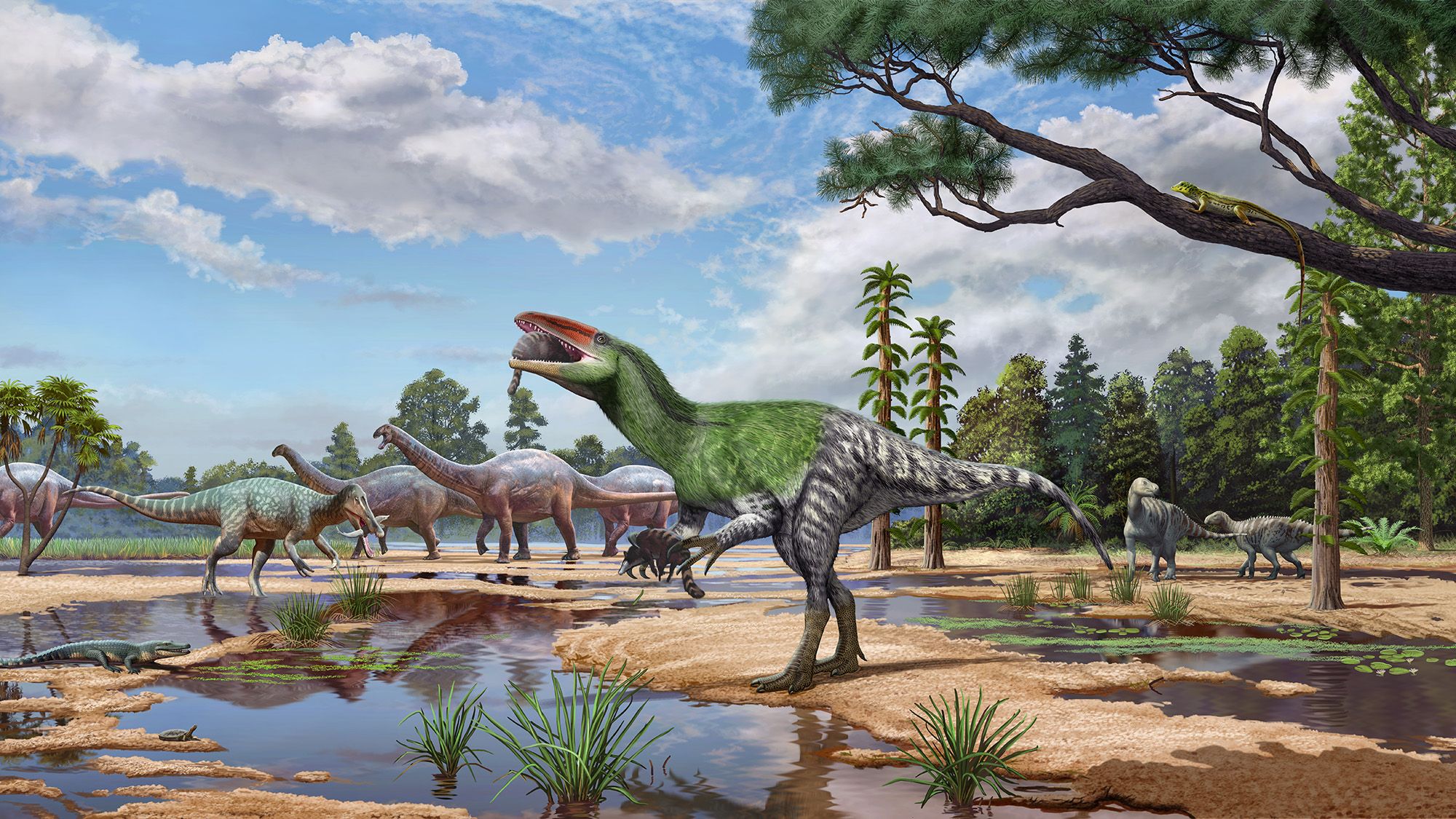 Un fossile de dinosaure « guerrière invaincue » avec de longues griffes découvert dans le tiroir d'un musée britannique après 100 ans