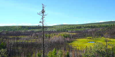 Des archéologues découvrent la plus ancienne demeure de l&rsquo;hémisphère occidental sur un site vieux de 13 800 ans en Alaska