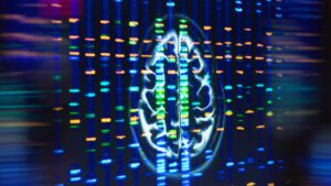 Une variante génétique triple le risque de contracter la maladie d'Alzheimer – l'accumulation de graisse dans les cellules cérébrales pourrait en être la cause, selon une étude