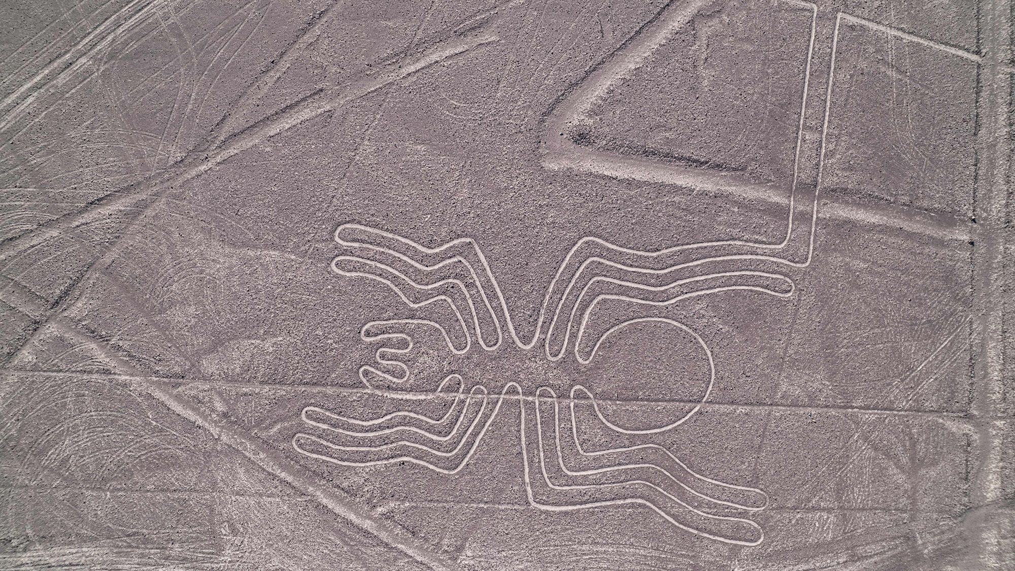 Pourquoi les lignes de Nazca ont-elles été construites ?