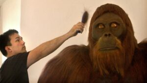 Que s'est-il passé lorsque les humains ont rencontré des Gigantopithèques ?