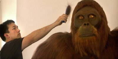 Que s&rsquo;est-il passé lorsque les humains ont rencontré des Gigantopithèques ?