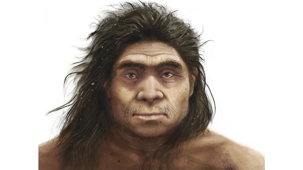 a drawing of a Denisovan man with dark skin, long dark hair, and eyes with a slight epicanthic fold lookes at the viewer; he has a heavy brow ridge and wide nose