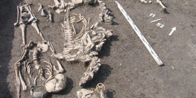 Une sépulture vieille de 2 000 ans découverte en Russie à proximité d&rsquo;un sacrifice humain et d&rsquo;une coupe pour conjurer les menaces magiques