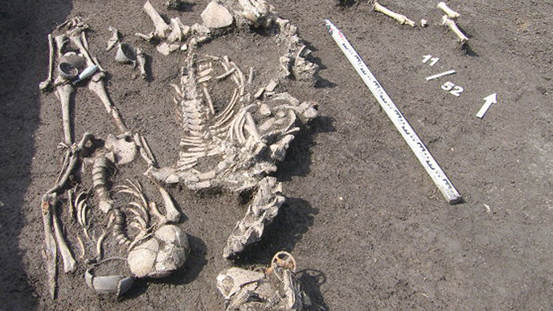 Une sépulture vieille de 2 000 ans découverte en Russie à proximité d'un sacrifice humain et d'une coupe pour conjurer les menaces magiques
